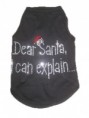 Dear Santa I Can Explain